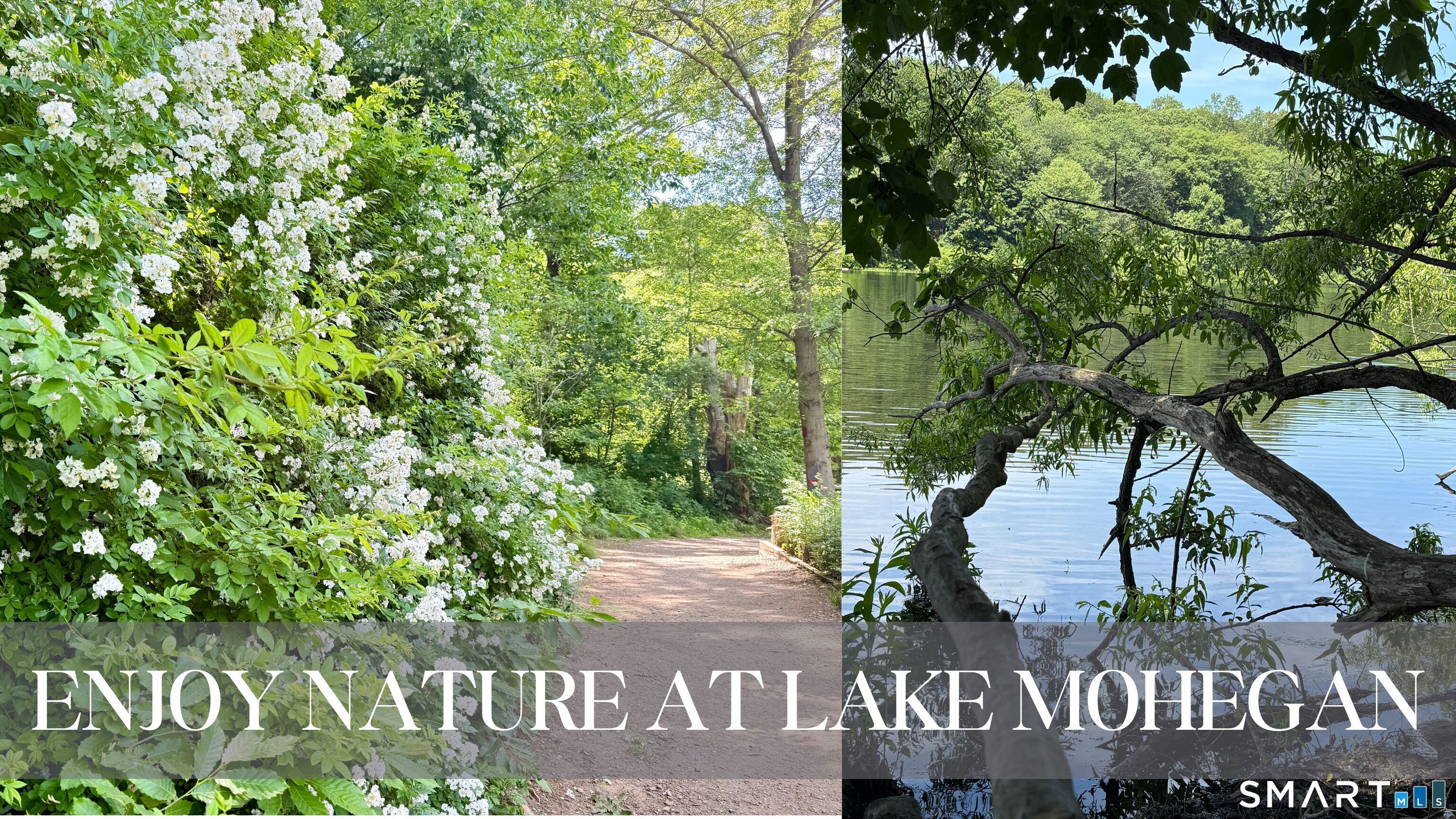 120 Saddleview Road Fairfield, CT 06825 - Photo 5 of 9 Decompress in stunning nature.