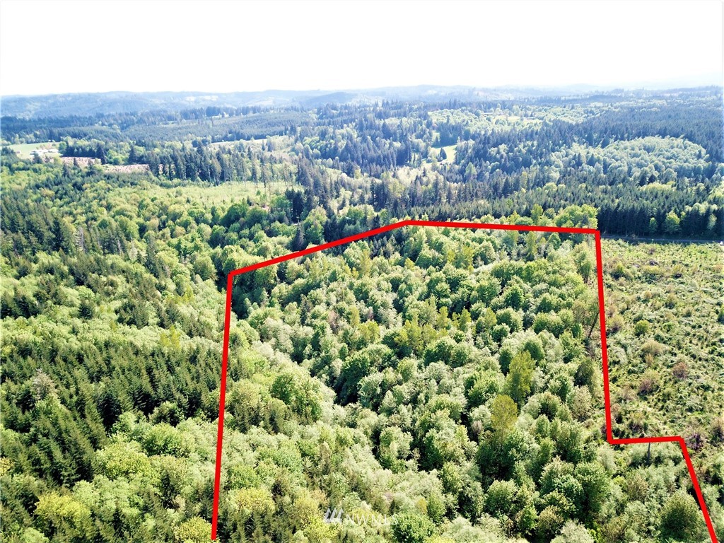 0 Lundeen Road Southwest Rochester, WA 98579 - Photo 13 of 29