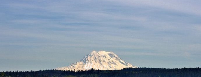 0 Lundeen Road Southwest Rochester, WA 98579 - Photo 18 of 29