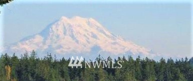 0 Lundeen Road Southwest Rochester, WA 98579 - Photo 3 of 29