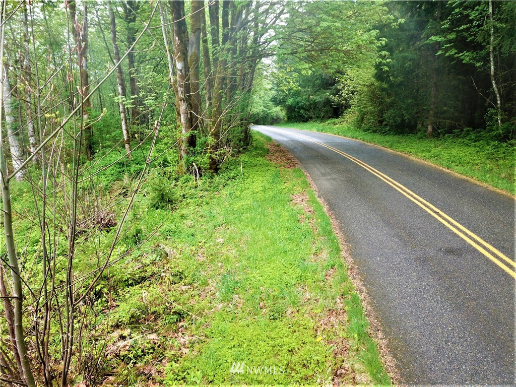 0 Lundeen Road Southwest Rochester, WA 98579 - Photo 24 of 29