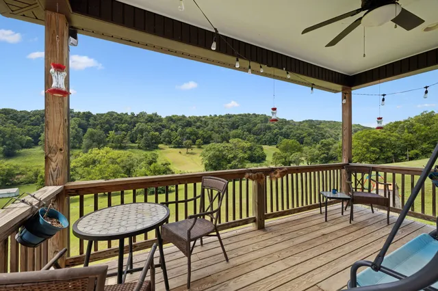 a view of a lush green hillside and houses