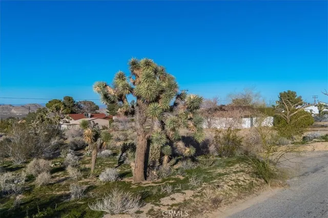 $45,000 | 60432 Latham Trail, Joshua Tree, CA 92252