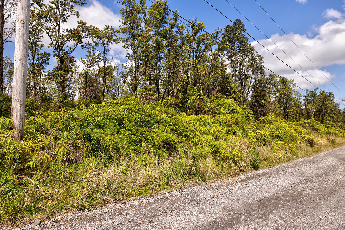 11-2074 Lot 68 Omeka Road Mountain View, HI 96771 - Photo 5 of 13 a view of a yard with wooden fence