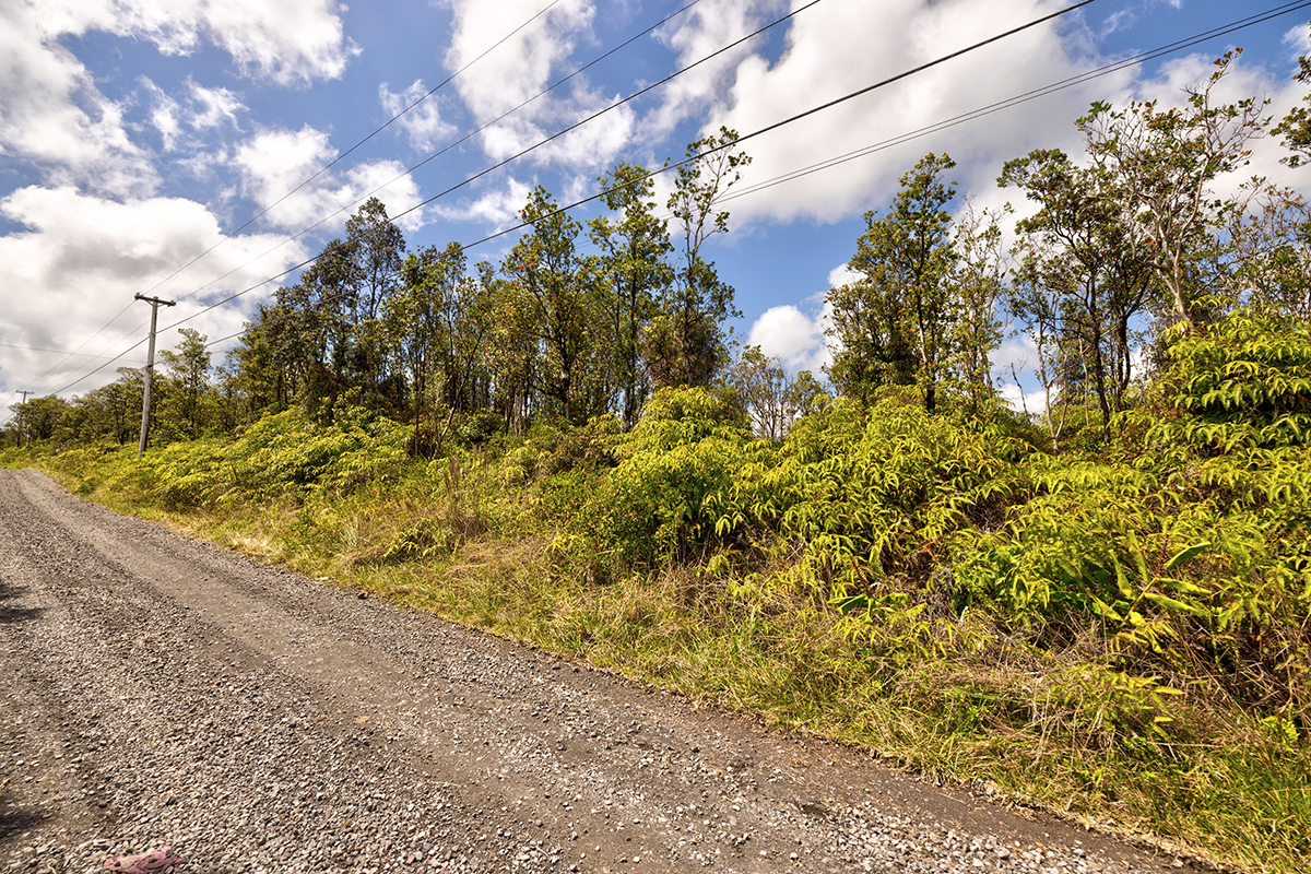 11-2074 Lot 68 Omeka Road Mountain View, HI 96771 - Photo 7 of 13 a view of a tree with a yard