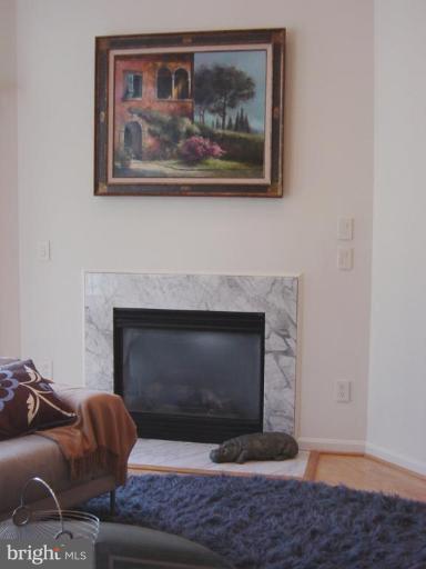 731 Runabout Loop, Unit 731 Solomons, MD 20688 - Photo 20 of 27 Fireplace