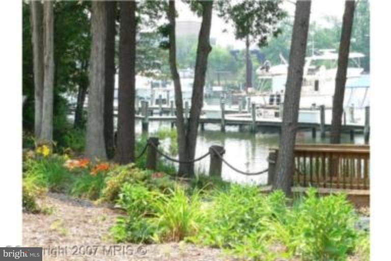 731 Runabout Loop, Unit 731 Solomons, MD 20688 - Photo 4 of 27 Bay View 1
