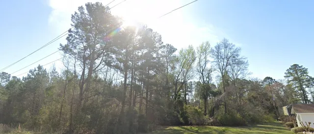 $300,000 | Tbd Tbd Old Wilson Road, Longs, SC 29568