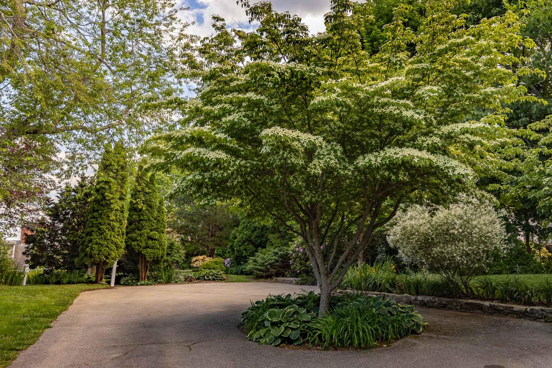 40 Pepperrell Road Kittery, ME 03905 - Photo 8 of 37 8