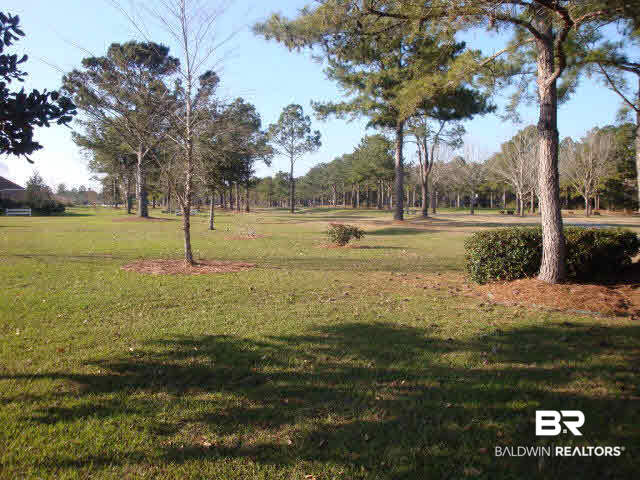 108 Lakeridge Drive Fairhope, AL 36532 - Photo 15 of 17 VIEW FROM BACKYARD