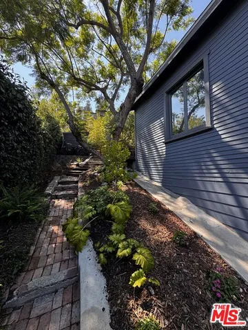 a view of a pathway with a tree