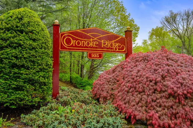 a sign broad in front of a tree