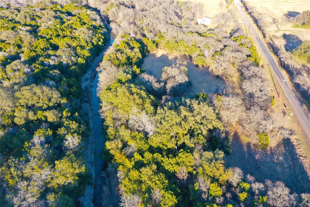 3697 North Rock Creek Loop Waco, TX 76708 - Photo 11 of 30 a view of a flower