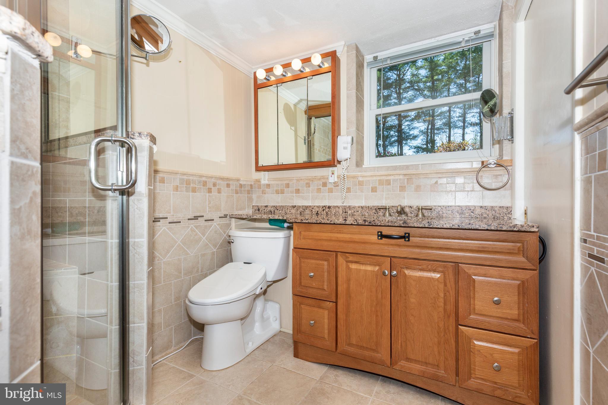 19531 Middletown Road Freeland, MD 21053 - Photo 34 of 51 lower level bath