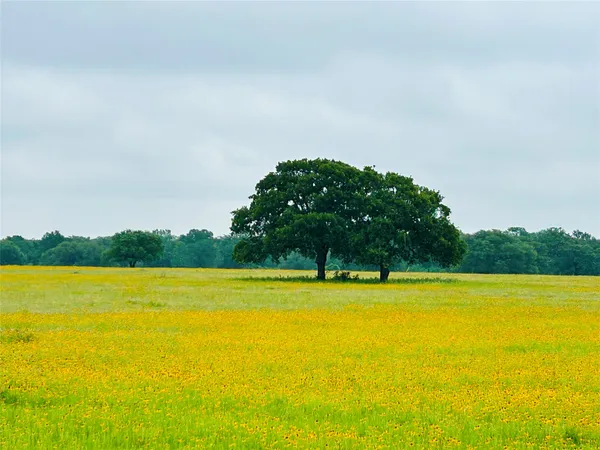 a view of a lake view