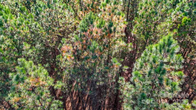 an aerial view of a golf course