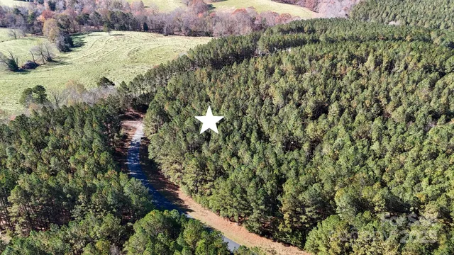 a view of a bunch of trees and bushes