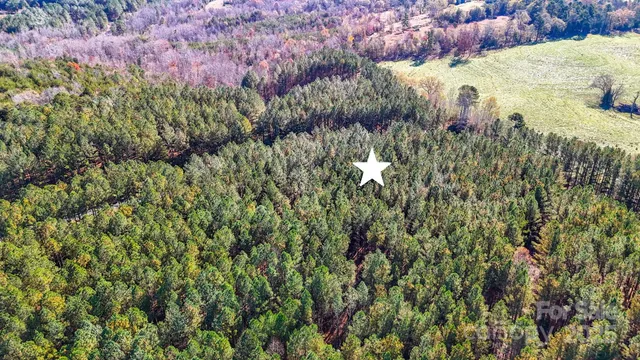 a map view of a garden