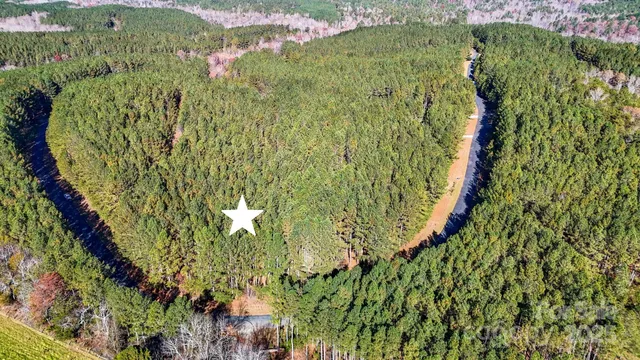 a close up of a plant