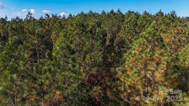 a view of outdoor space with a street view