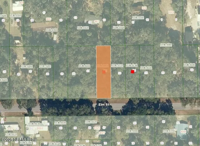 $45,000 | 1024 Elm Street, Welaka, FL 32193