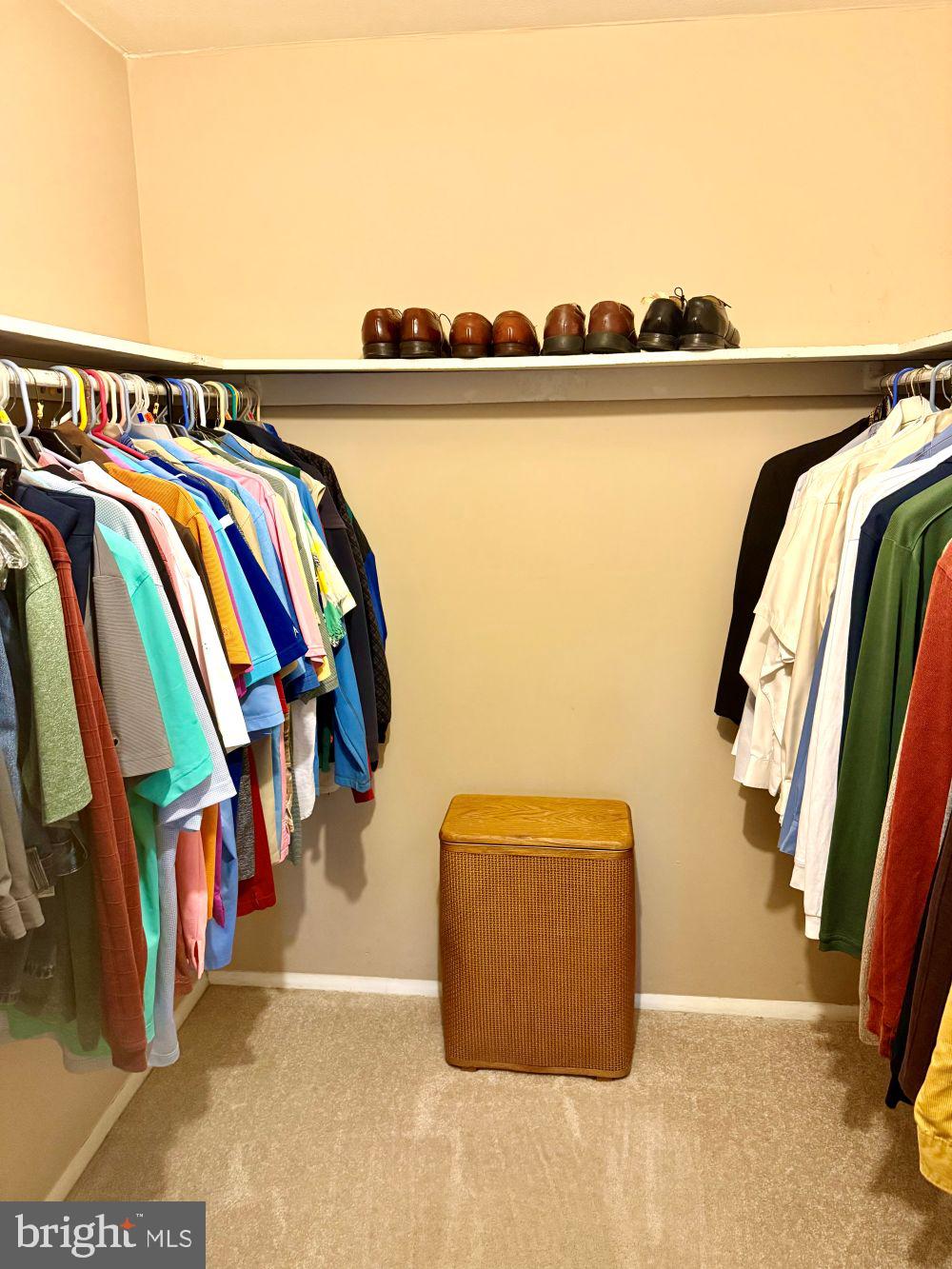 80 Welsh Tract Road, Unit G306 Newark, DE 19713 - Photo 8 of 11 a view of walk in closet with clothes and shoes