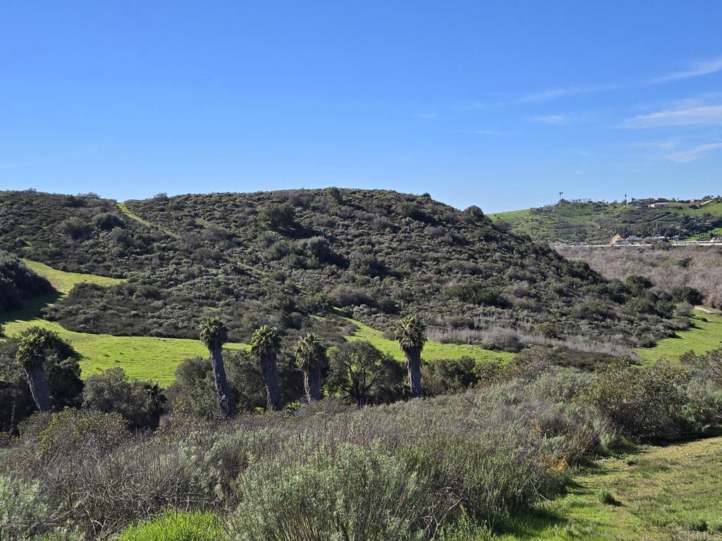 Old River Road Bonsall, CA 92003 - Photo 6 of 21