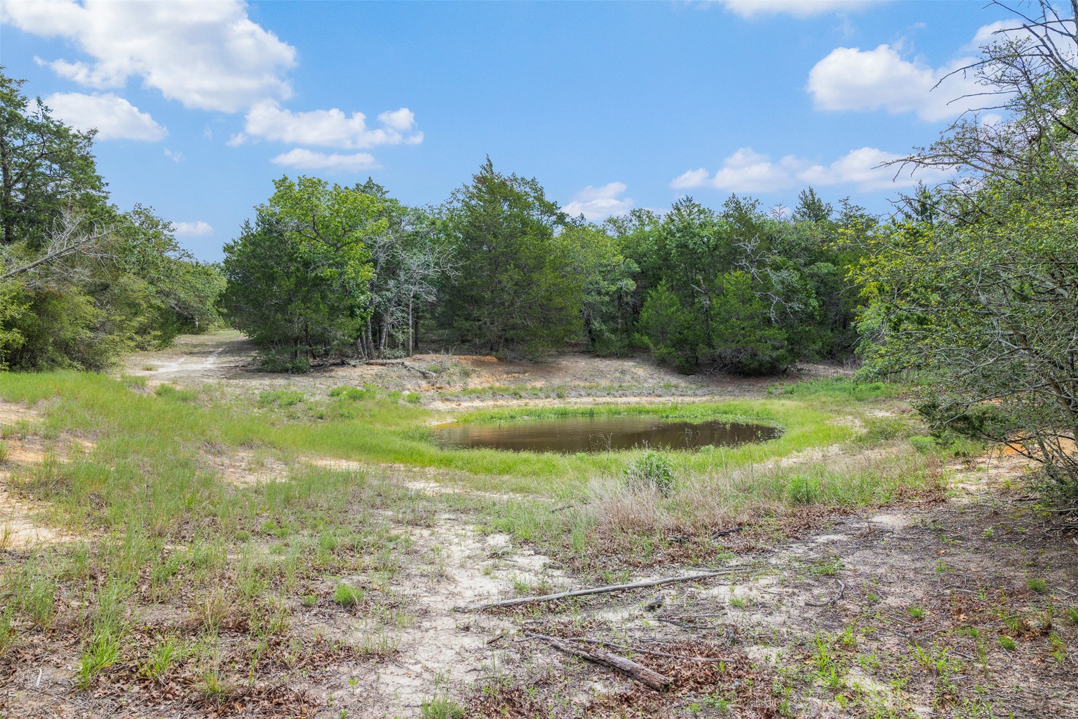622 Red Rock Ranch Road Red Rock, TX 78662 - Photo 28 of 46