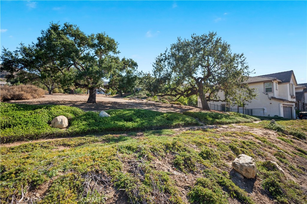 5588 California Oak Street Simi Valley, CA 93063 - Photo 68 of 75 a view of a backyard with plants and trees