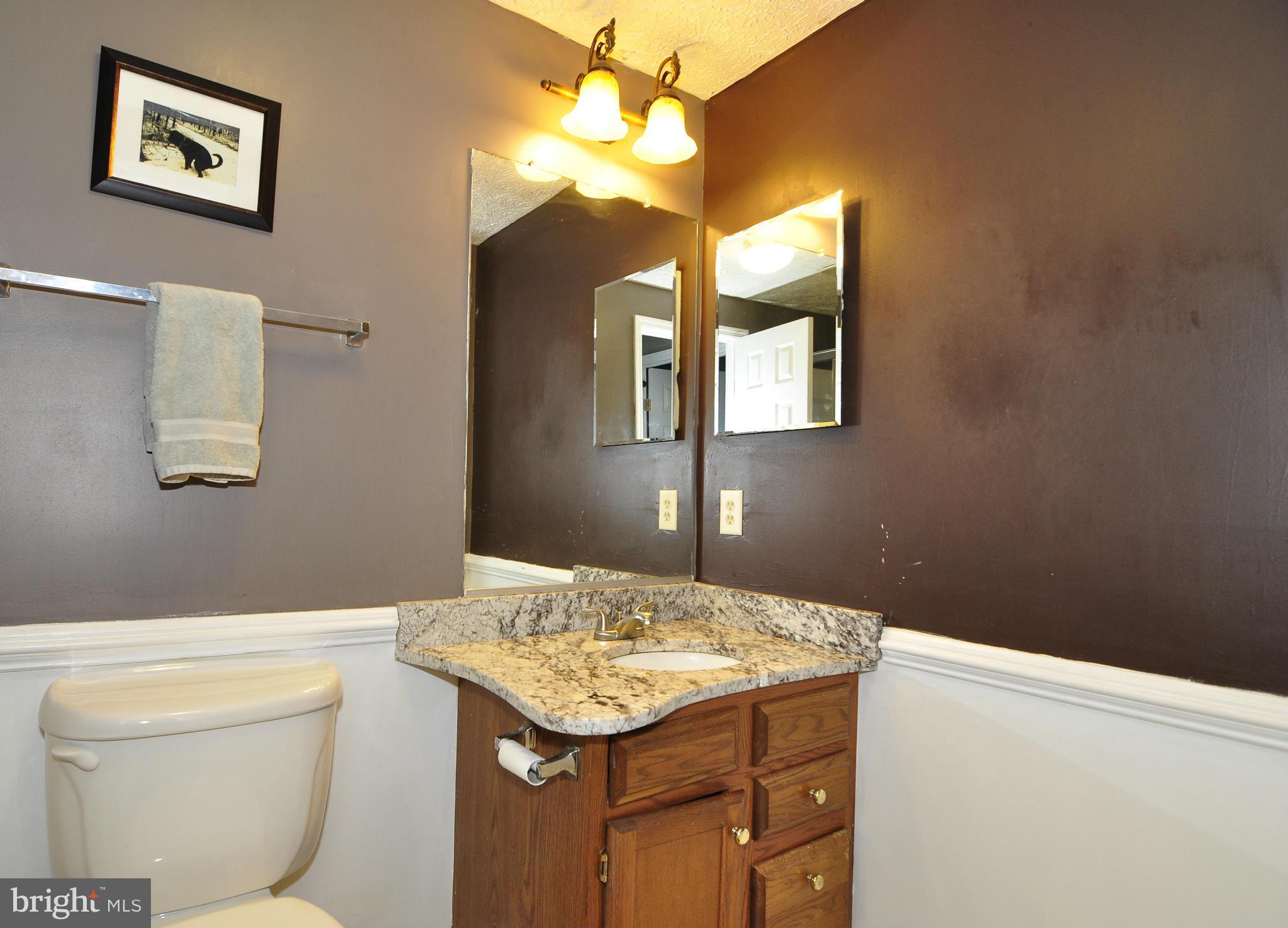 13918 Winding Ridge Lane Centreville, VA 20121 - Photo 21 of 25 Lower level bath