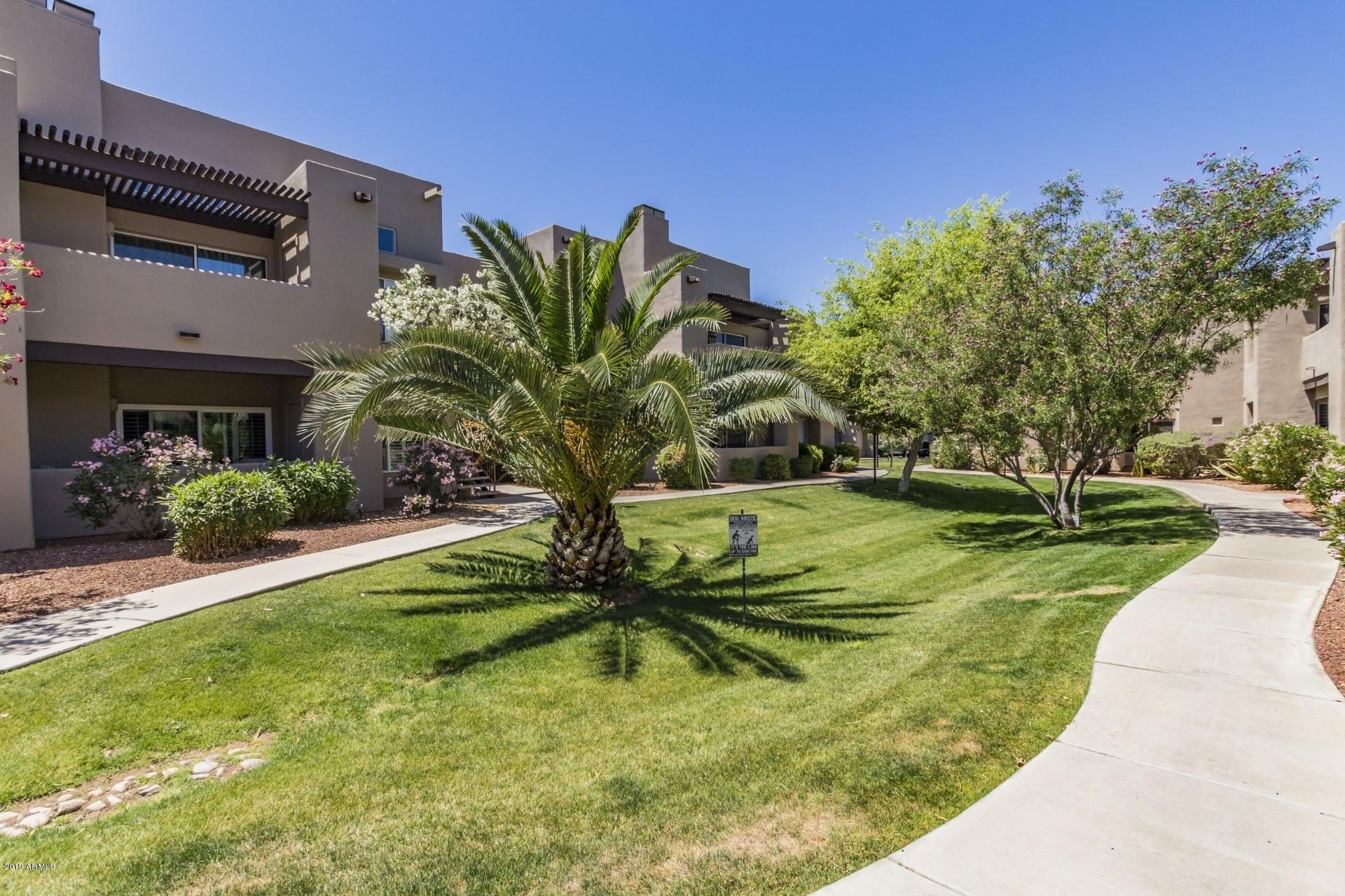 11260 North 92nd Street, Unit 1127 Scottsdale, AZ 85260 - Photo 37 of 42 a view of a backyard with plants and a patio