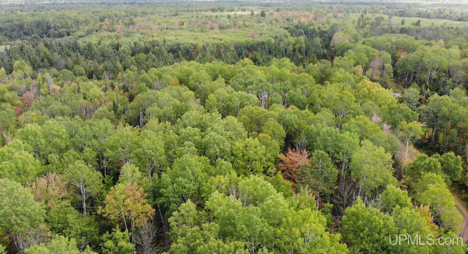 25094 Livingston Road Ewen, MI 49925 - Photo 28 of 35