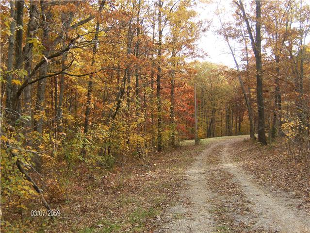 1243 Hortense Road Dickson, TN 37055 - Photo 1 of 6 Gallery Image 1