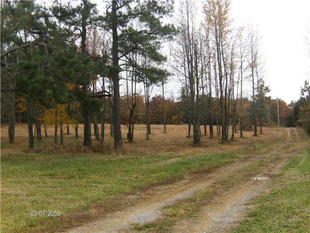 1243 Hortense Road Dickson, TN 37055 - Photo 3 of 6 Gallery Image 3