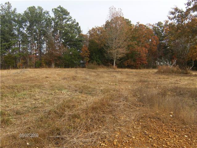 1243 Hortense Road Dickson, TN 37055 - Photo 4 of 6 Gallery Image 4