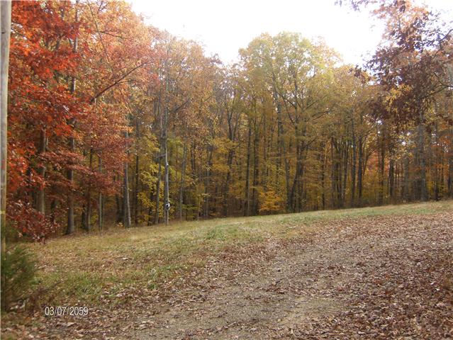 1243 Hortense Road Dickson, TN 37055 - Photo 5 of 6 Gallery Image 5