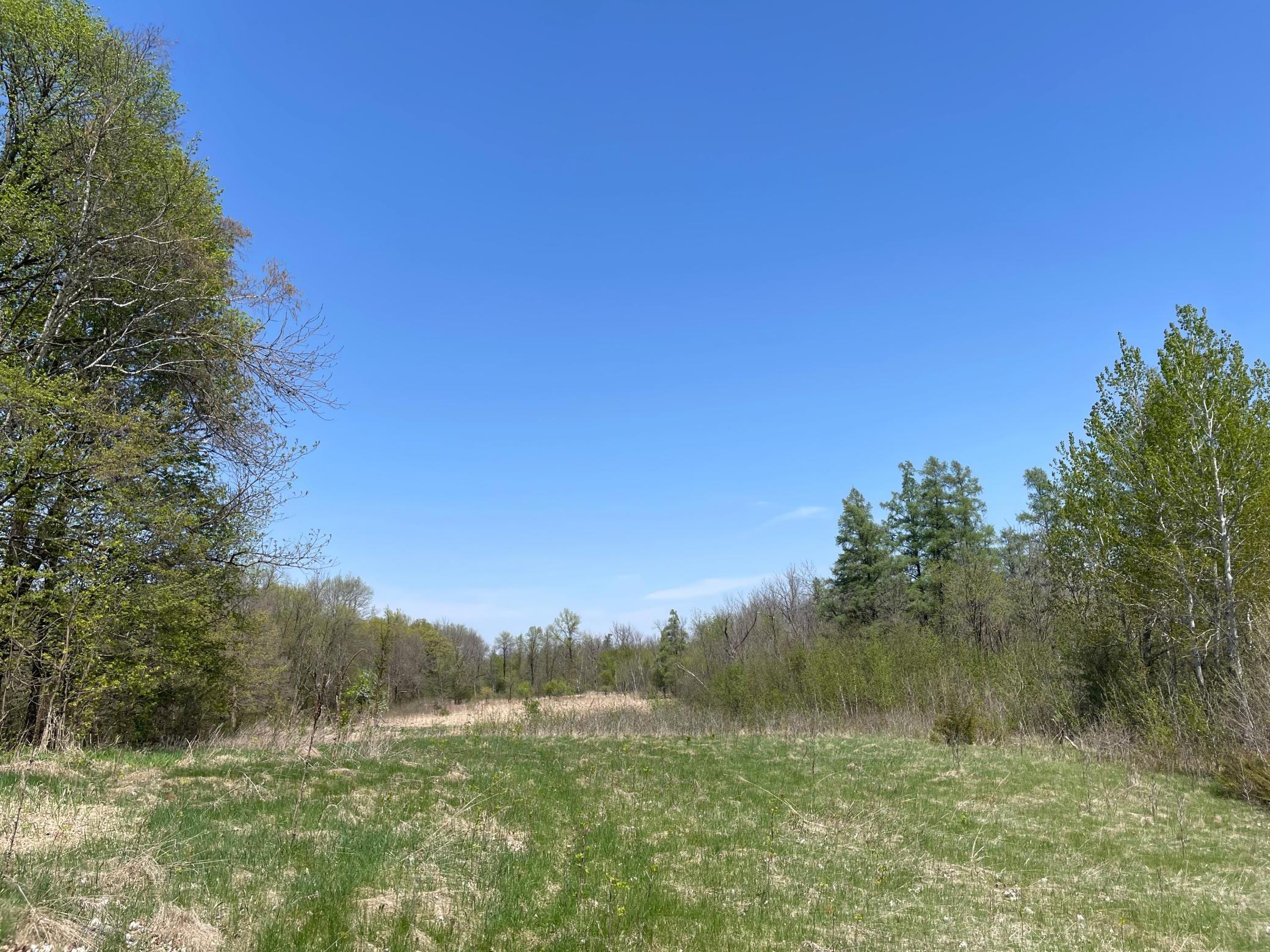 1-xx Stark Road Harris, MN 55032 - Photo 11 of 21