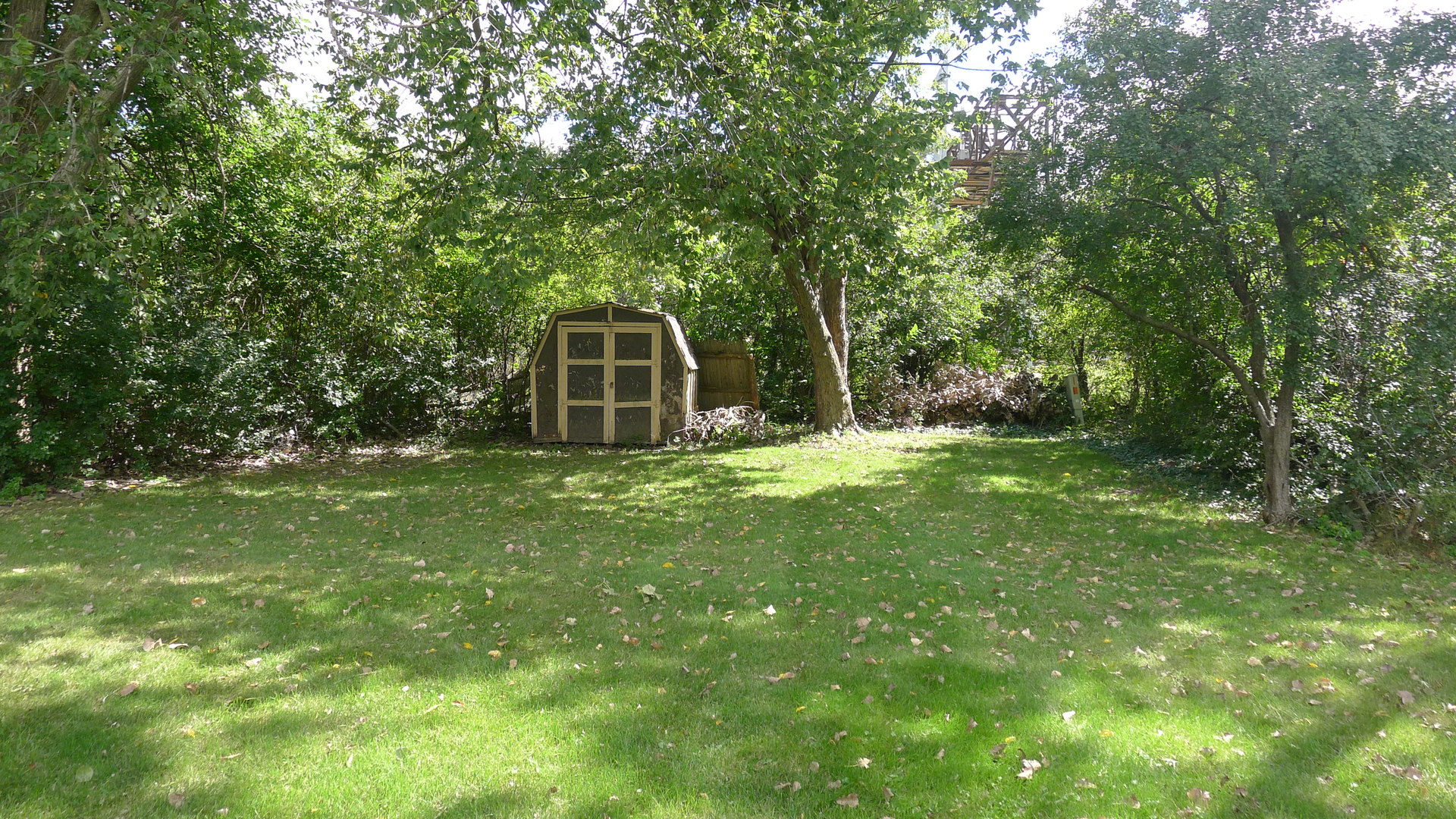 1417 Lawrence Crescent Flossmoor, IL 60422 - Photo 19 of 24 a view of a backyard with large trees