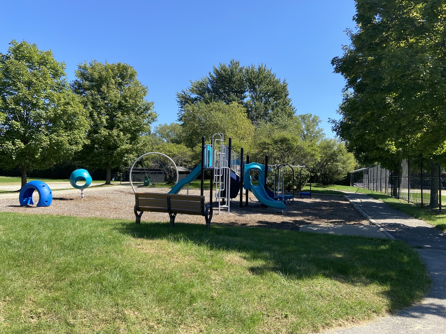 1417 Lawrence Crescent Flossmoor, IL 60422 - Photo 21 of 24 a view of a park with large trees