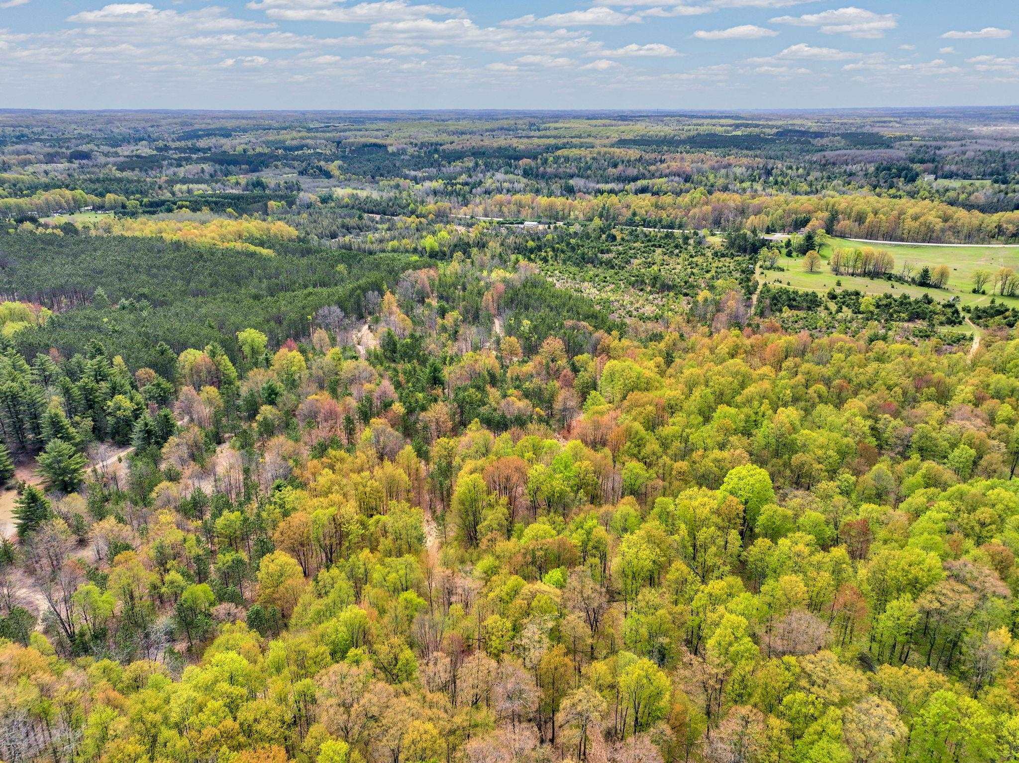 22386 16 Mile Road Leroy, MI 49655 - Photo 40 of 63