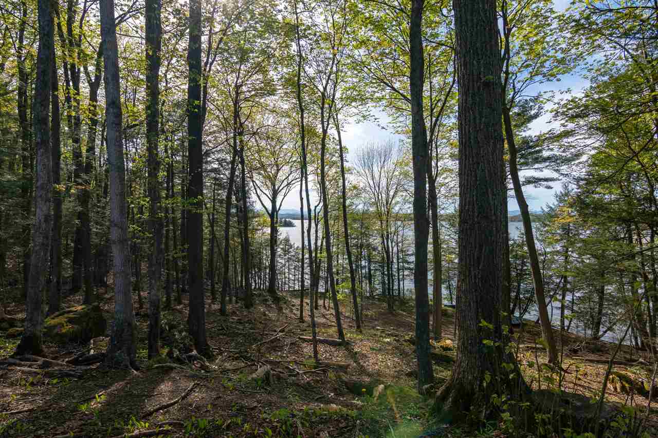 1022 Town Line Road Charlotte, VT 05445 - Photo 9 of 19 Gallery Image 9