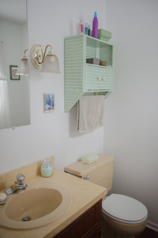 15 Huntley Court Crete, IL 60417 - Photo 11 of 19