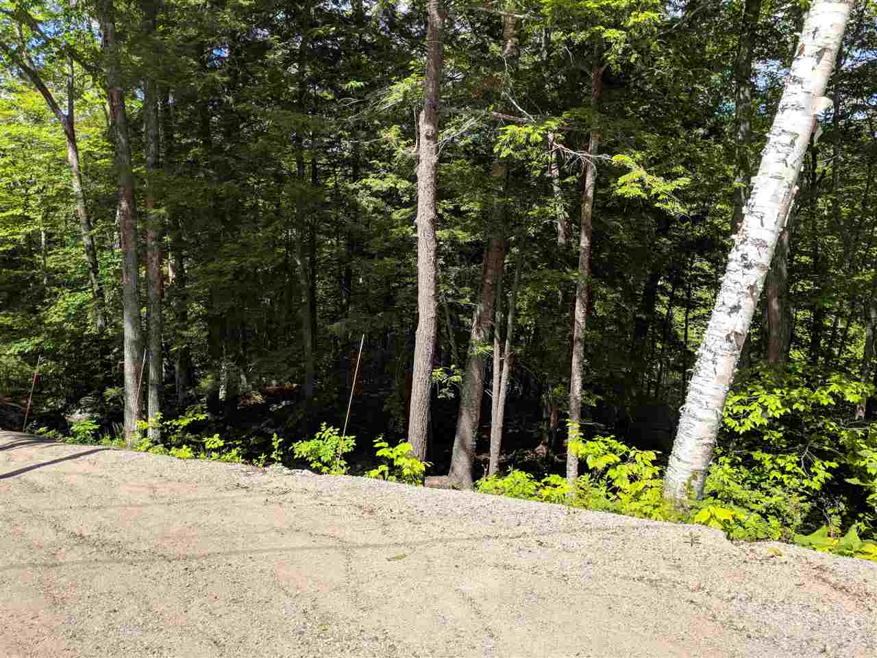 153 Pine Brook Road, Unit 9 Jackson, NH 03846 - Photo 8 of 11 Gallery Image 8
