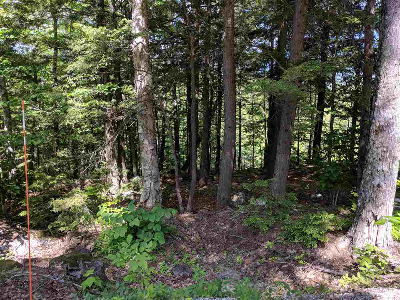 153 Pine Brook Road, Unit 9 Jackson, NH 03846 - Photo 9 of 11 Gallery Image 9