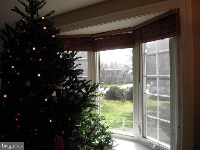 17317 Soper Street Poolesville, MD 20837 - Photo 5 of 29 a room that has a large window and a potted plant