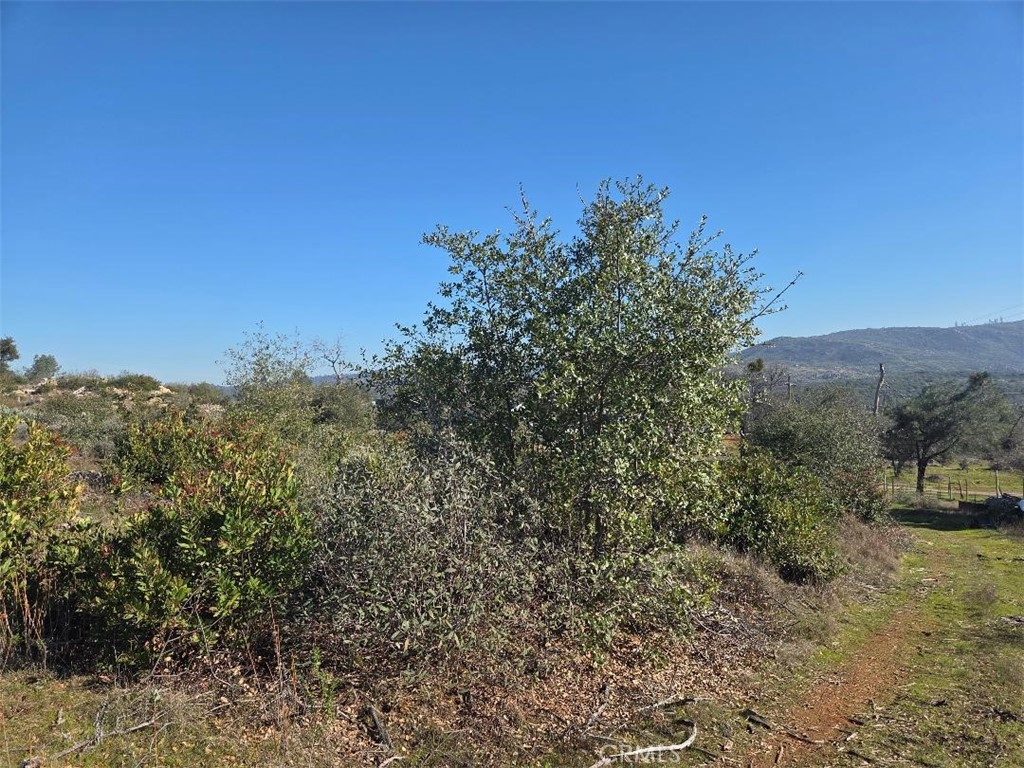 0 Nikki Jo Road Oroville, CA 95966 - Photo 11 of 22