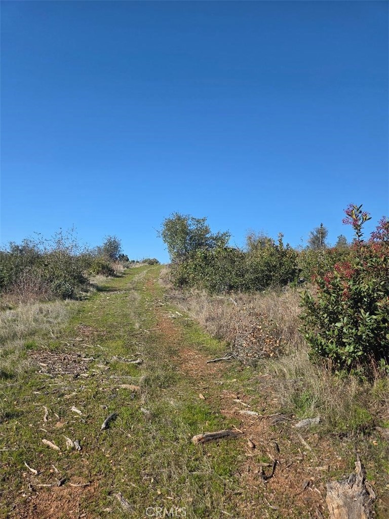 0 Nikki Jo Road Oroville, CA 95966 - Photo 12 of 22