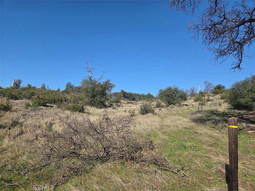 0 Nikki Jo Road Oroville, CA 95966 - Photo 14 of 22