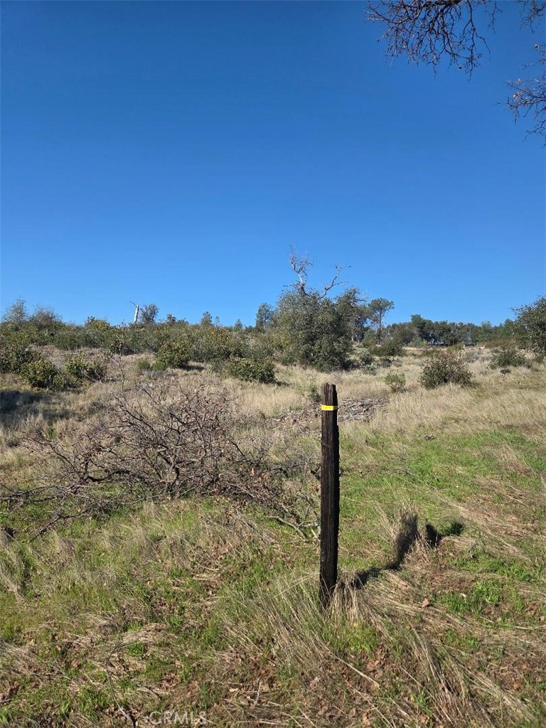 0 Nikki Jo Road Oroville, CA 95966 - Photo 16 of 22