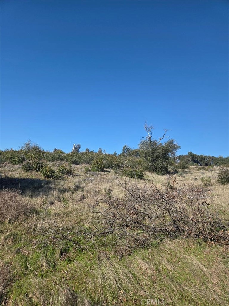 0 Nikki Jo Road Oroville, CA 95966 - Photo 17 of 22